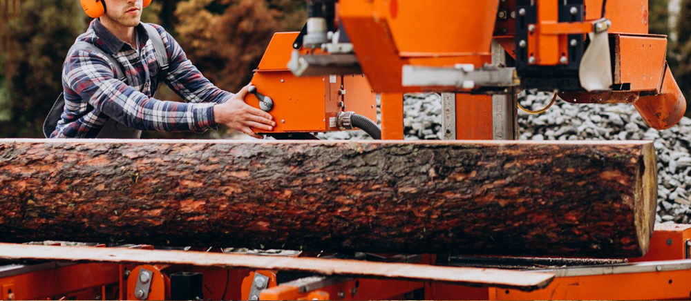 Автоматизация в лесозаготовке и деревообработке